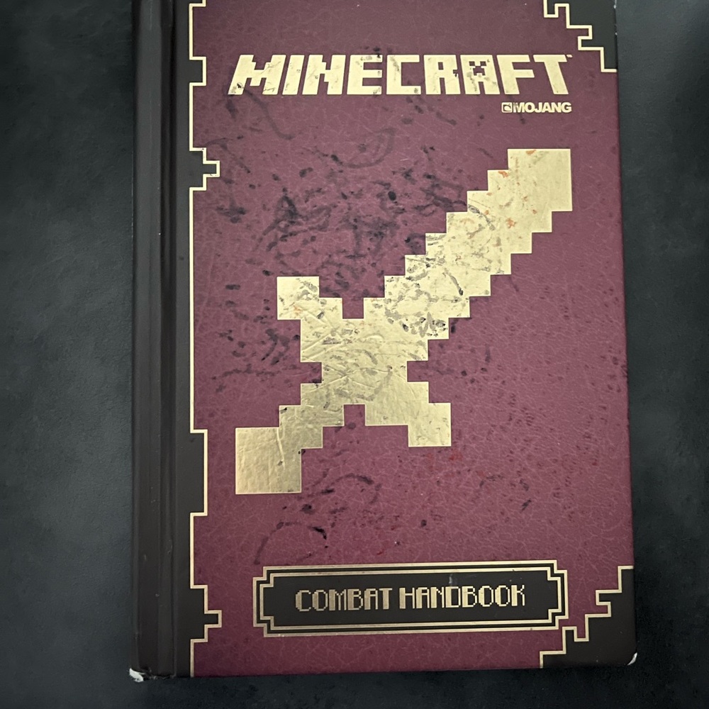 Minecraft kids book